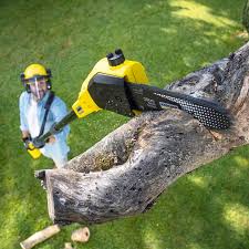 Best Lawn Mowing Services  in Rotonda, FL